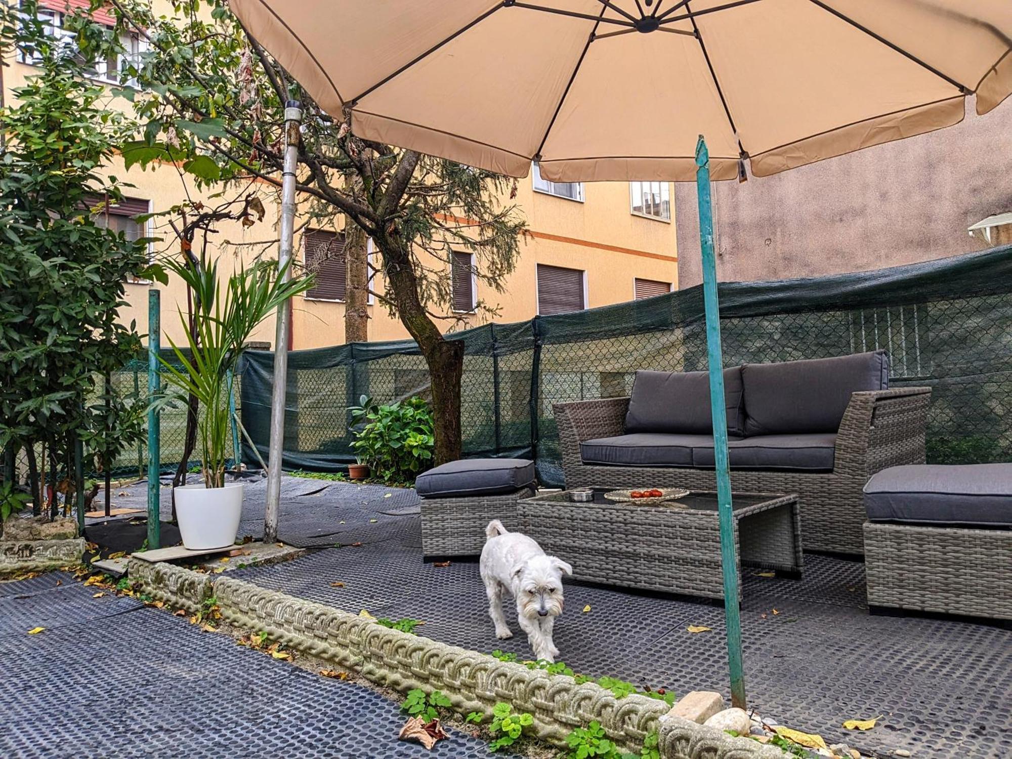 Casa Singola Con Spazio Auto E Giardino Apartment *